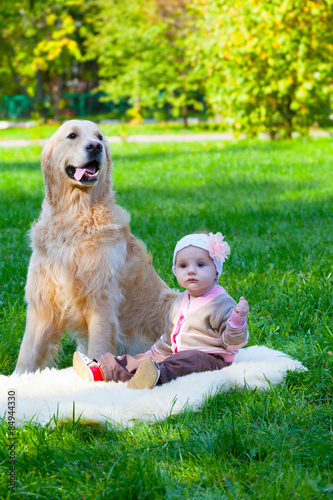 little girl sits near a big dog of a pooda golden - a retriever photo