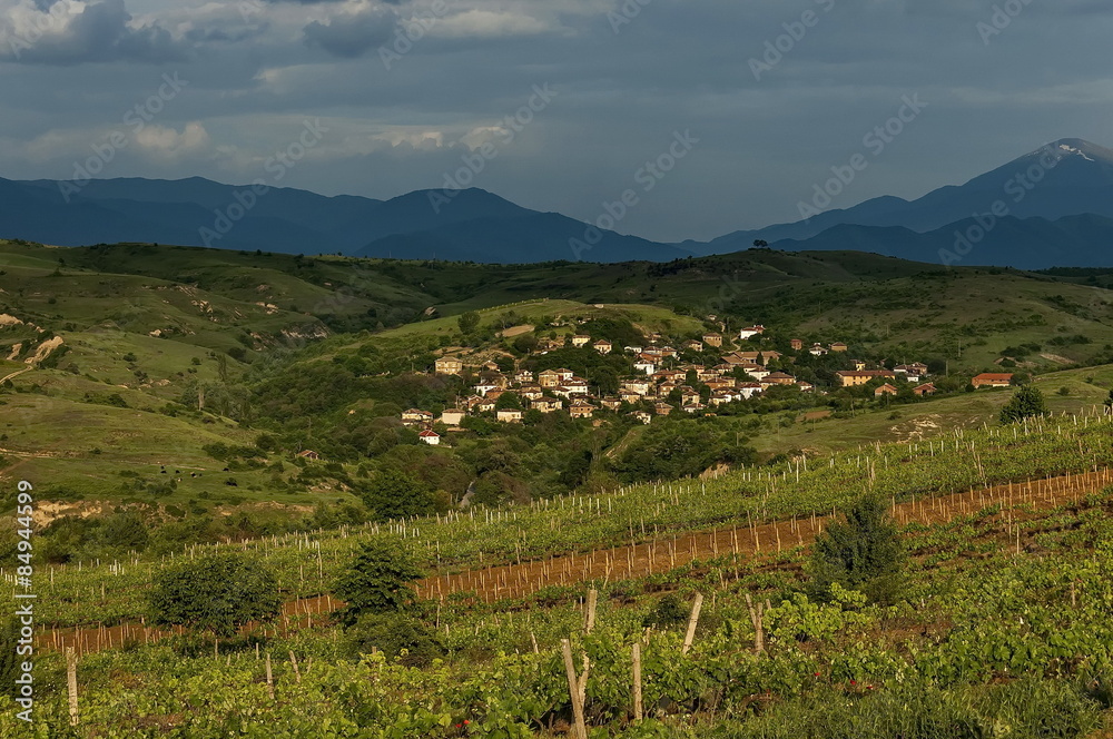 Naklejka premium Village in the wine making region of Melnik, Bulgaria, Europe