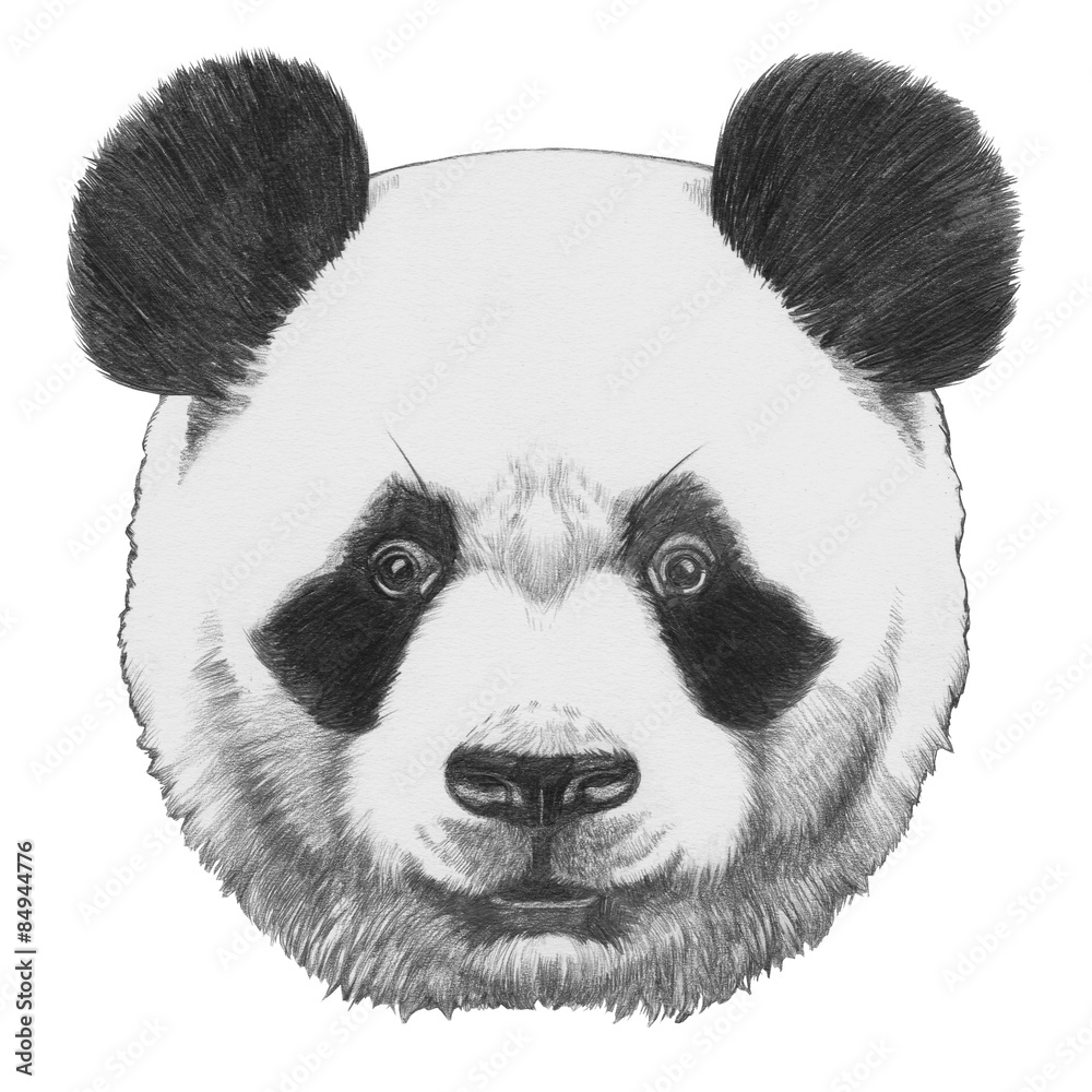 Obraz premium Original drawing of Panda. Isolated on white background