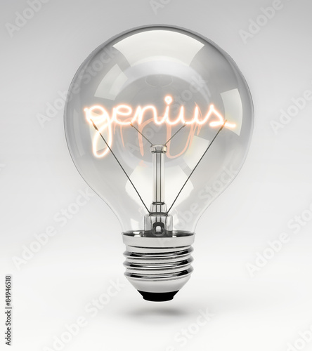 Conceptual Light Bulb (Set) - Genius photo