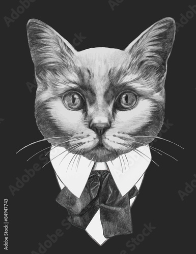 Hand drawn fashion Illustration of Cat. Vector isolated elements.