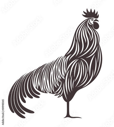 Cock