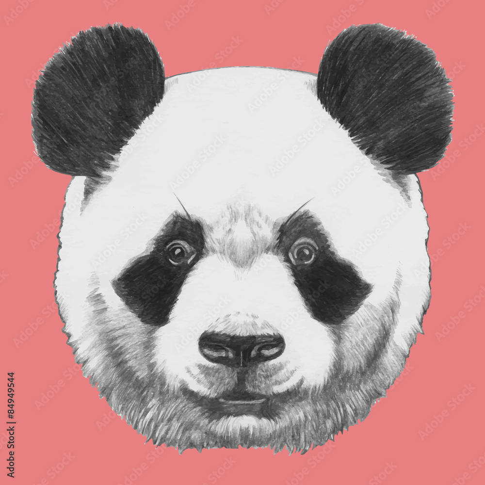 Fototapeta premium Hand drawn portrait of Panda. Vector isolated elements.