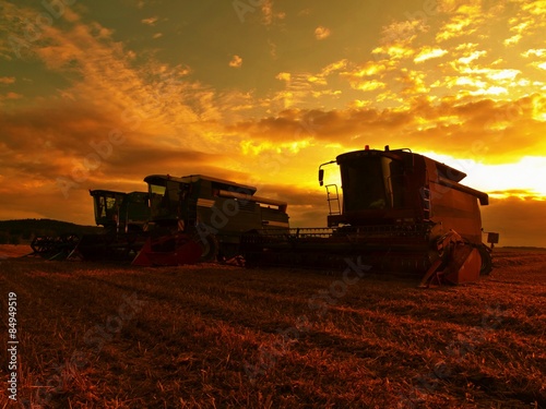 Abandoned combine harvest wheat in the middle of a farm field. Morning yellow wheat