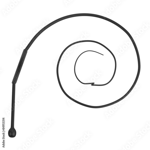 3d render of whip (tool)