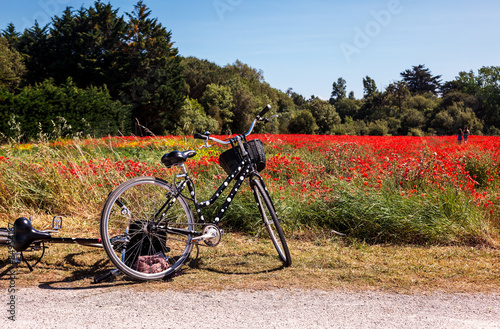 Fototapeta Naklejka Na Ścianę i Meble -  Vélo & Coquelicot