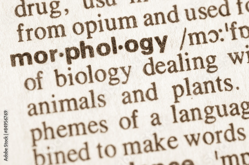 Dictionary definition of word morphology
