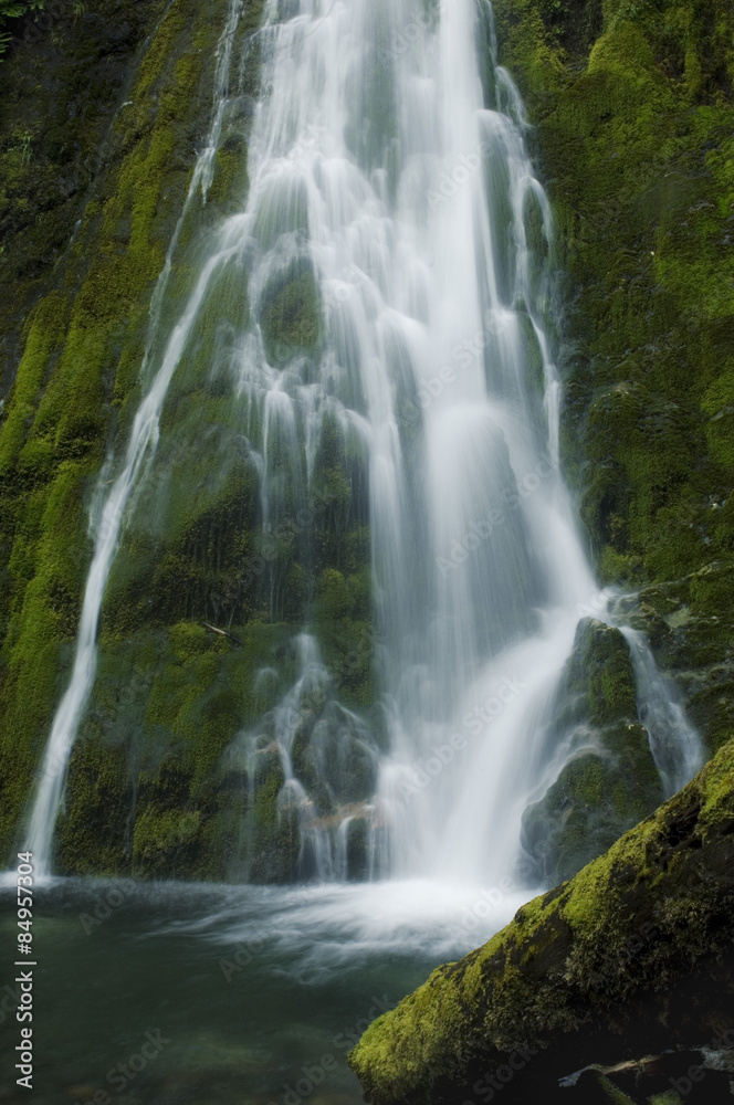 A beautiful flowing waterfall in the Olympic Rainforest, Washington State USA. 