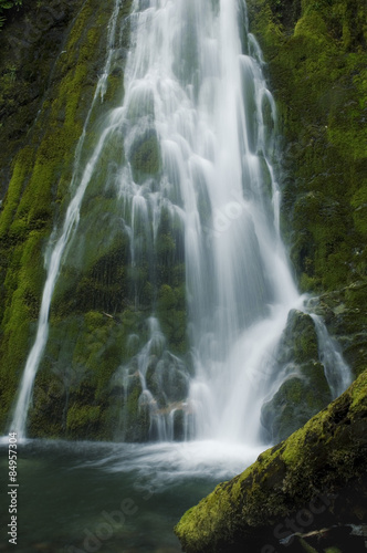 Fototapeta Naklejka Na Ścianę i Meble -  A beautiful flowing waterfall in the Olympic Rainforest, Washington State USA. 
