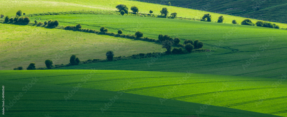 Abstract view of the South Downs near Lewes approaching dusk. Light plays across the fields and hedgerows.