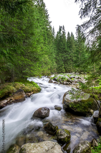 Tatras Mountains River