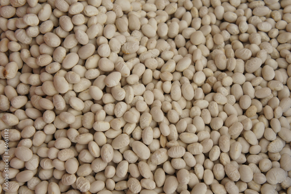 Soybean Soybean