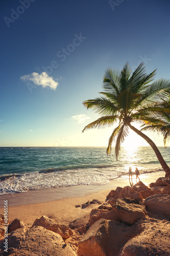 Fototapeta Naklejka Na Ścianę i Meble -  Palm trees on the tropical beach
