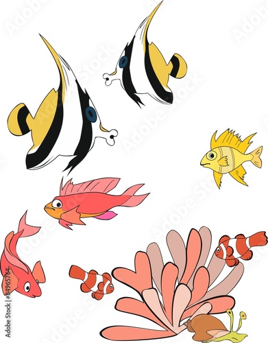 Tropical Fish  and actinium