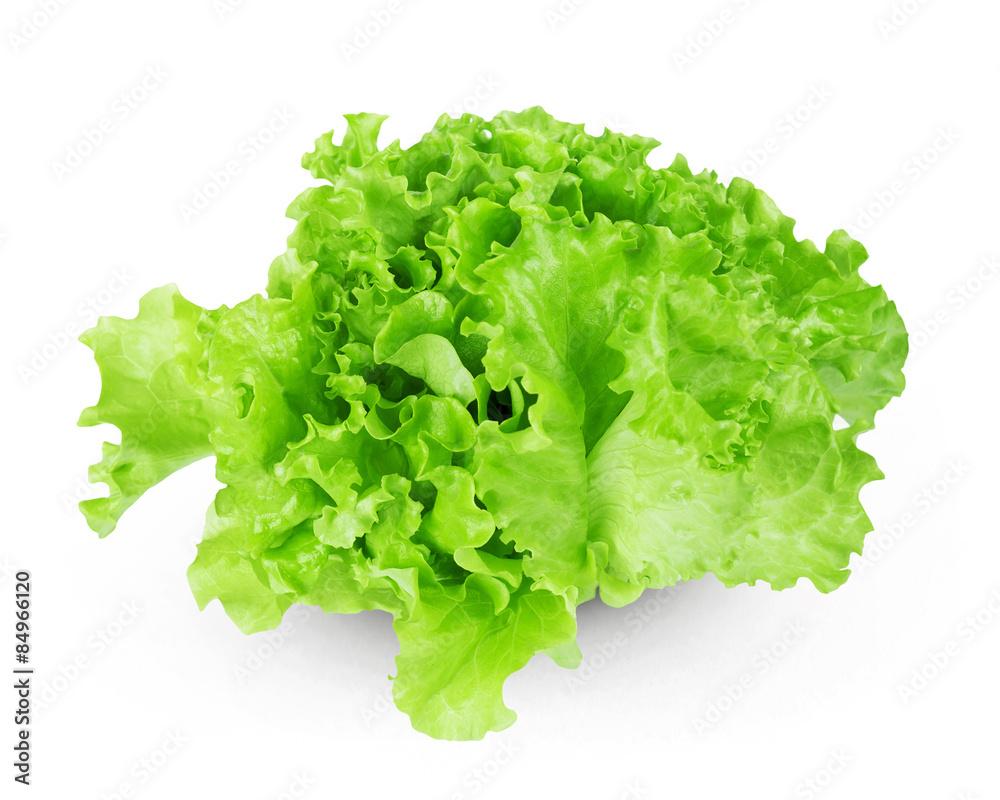 Fresh lettuce Fresh lettuce