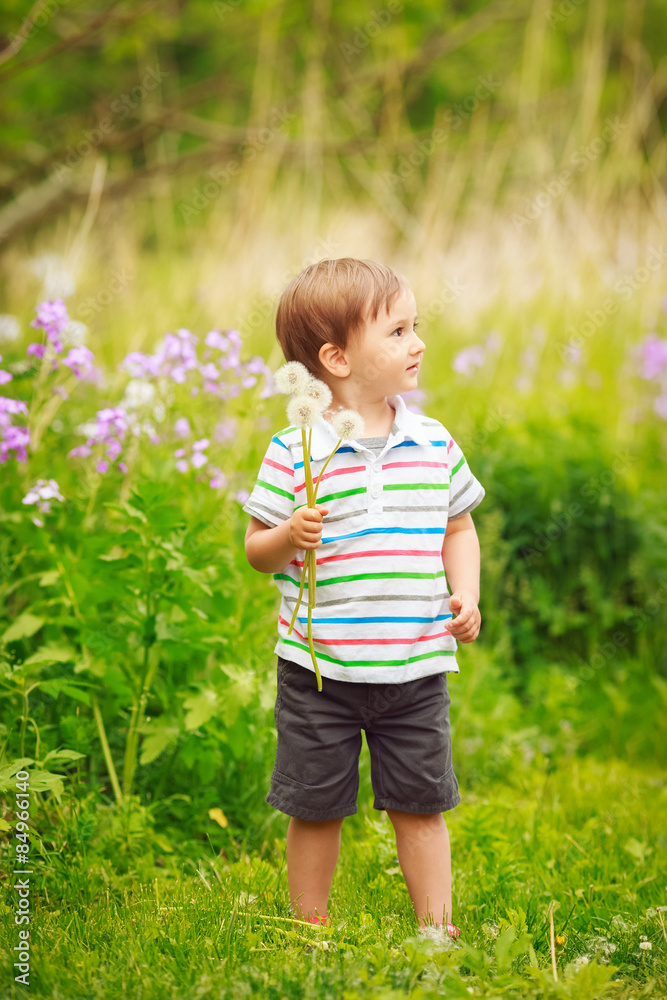 Portrait of a cute adorable little boy toddler standing in the forest field meadow with dandelion flowers in his hands and blowing them on a bright summer day, funny card with copy space for text Portrait of a cute adorable little boy toddler standing in the forest field meadow with dandelion flowers in his hands and blowing them on a bright summer day, funny card with copy space for text