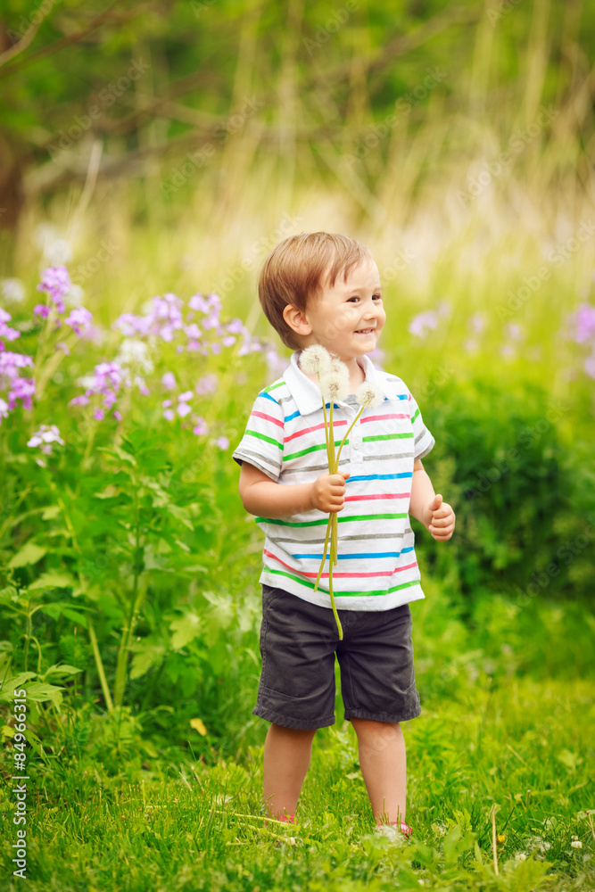 Portrait of a cute adorable little boy toddler standing in the forest field meadow with dandelion flowers in his hands and blowing them on a bright summer day, funny card with copy space for text Portrait of a cute adorable little boy toddler standing in the forest field meadow with dandelion flowers in his hands and blowing them on a bright summer day, funny card with copy space for text