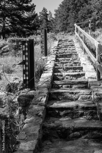 Stone stair way in the forest with wooden guardrail  