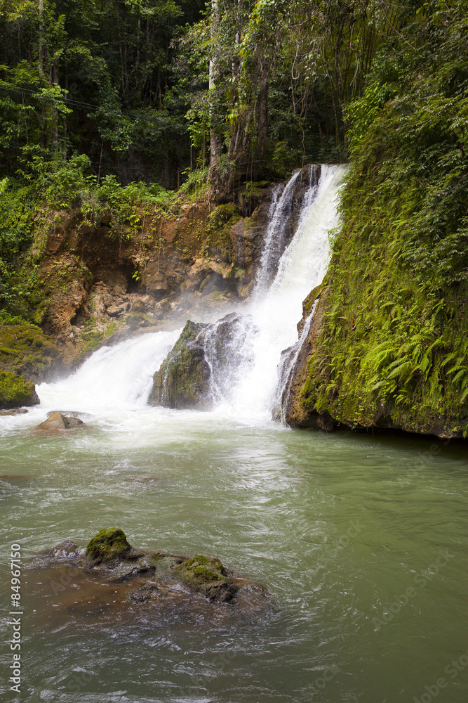 Fototapeta premium Jamaica. Dunn's River waterfalls