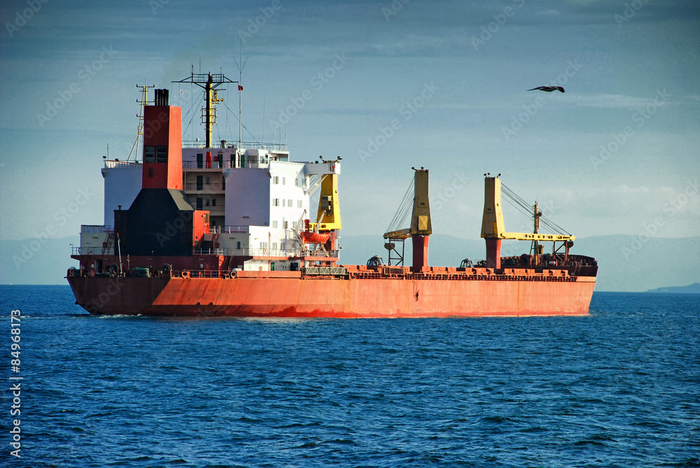 Fototapeta premium Cargo Ship