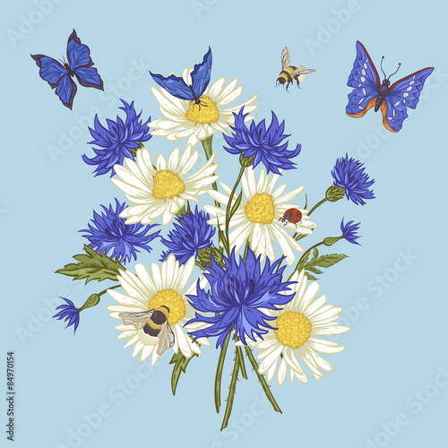 Greeting Card with Blooming Chamomile