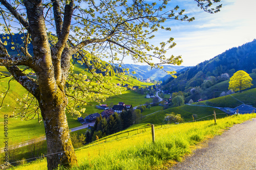 Scenic panorama with sunset in hilly summer valley in Germany, Muenstertal, Schwarzwald photo