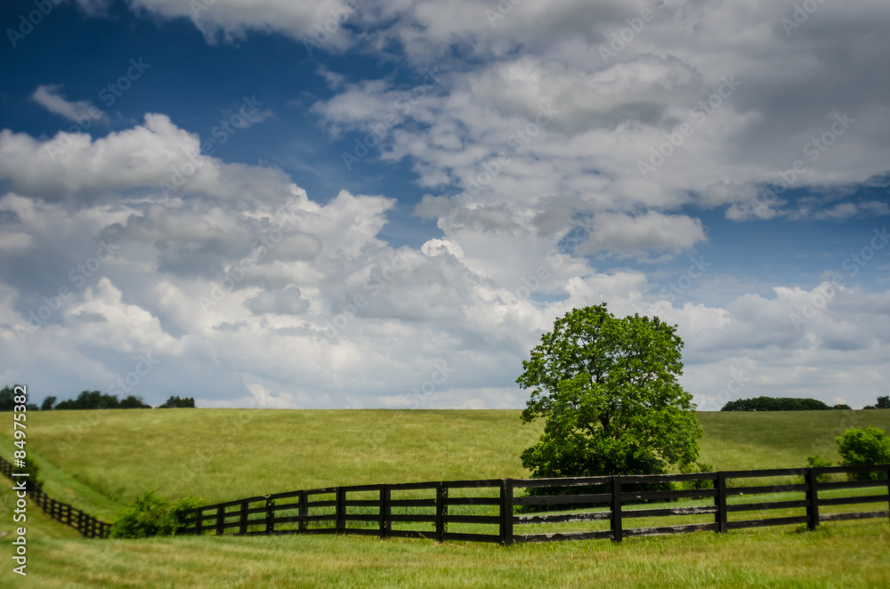 Horse Fence and Field