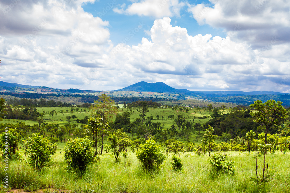 Obraz premium prairie