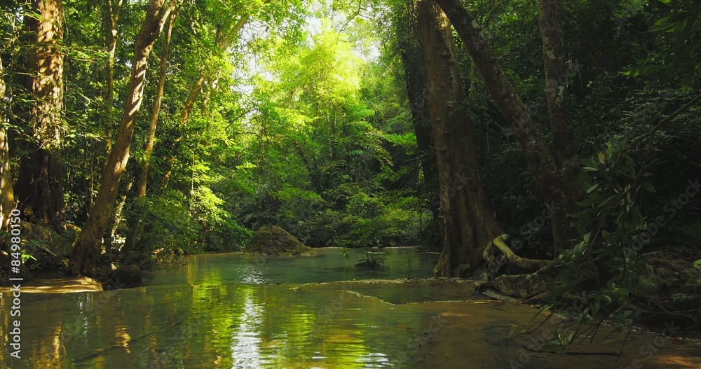Slider video shot of river in forest Slider video shot of river in forest