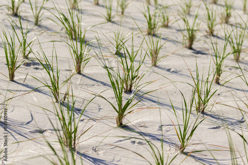 Obraz premium White sand dunes on the beach.