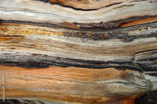 Old wooden surface.