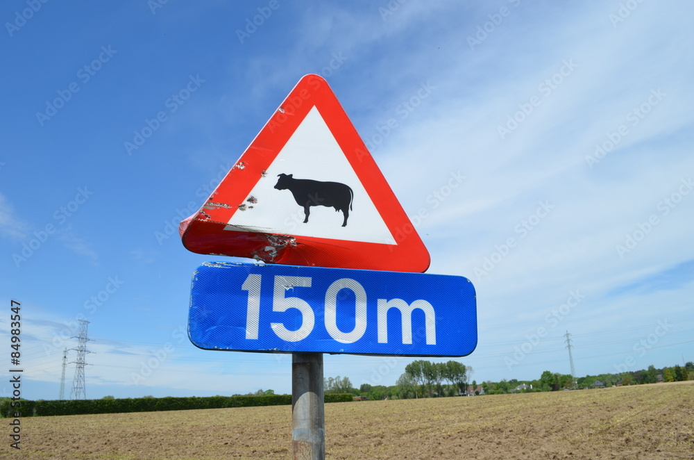 Fototapeta premium Sign warning for cows at 150 meter