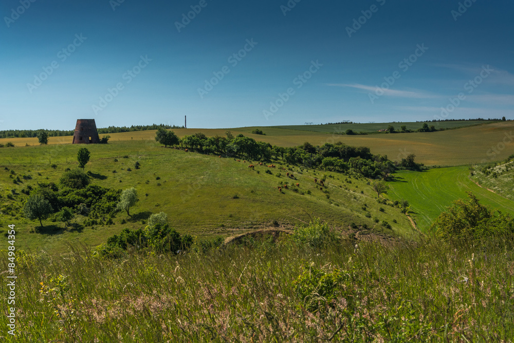 Fototapeta premium hills in the countryside