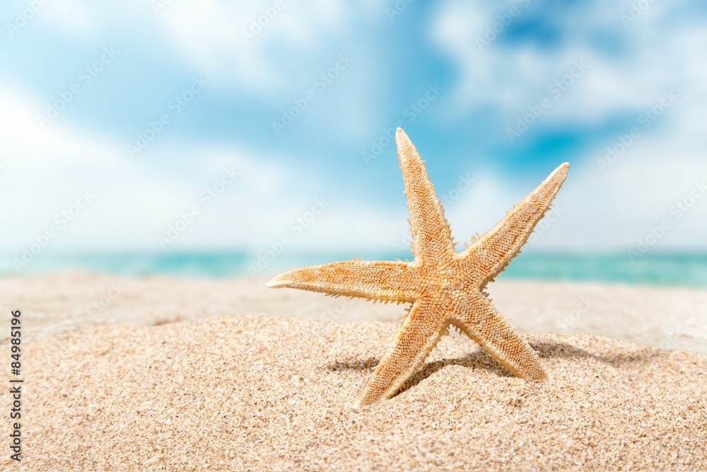 Beach, starfish, caribbean.