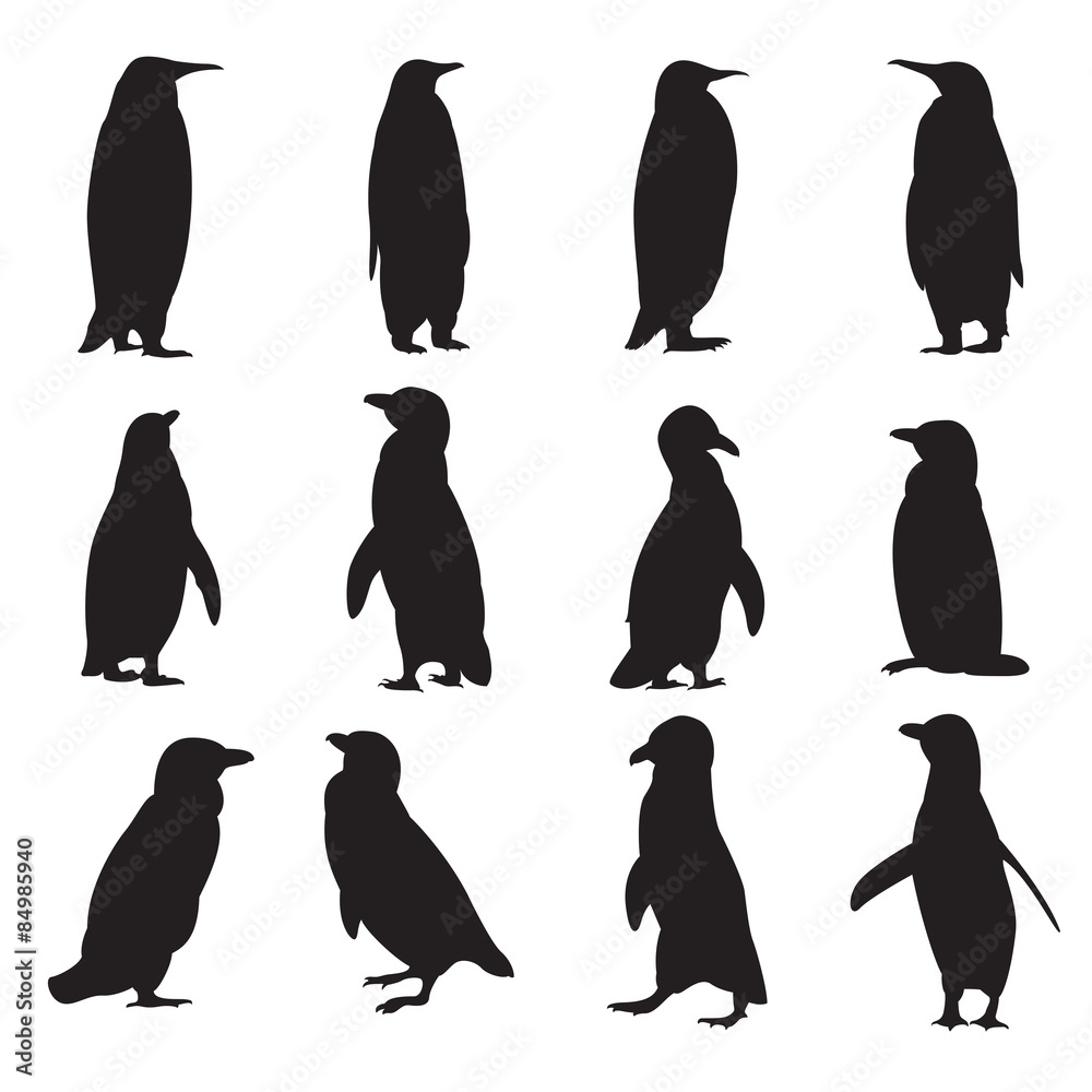 Fototapeta premium Collection of penguins' silhouettes