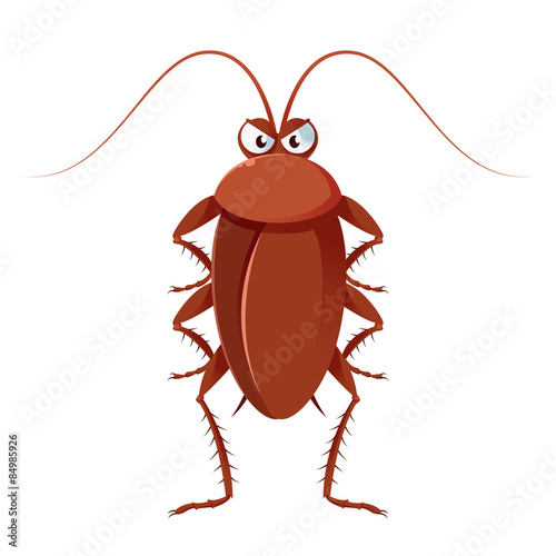 Cockroach