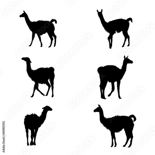 Collection of guanaco' silhouettes