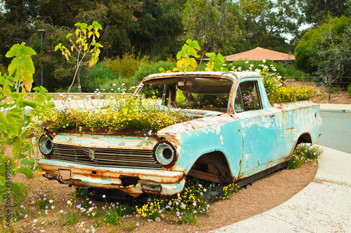 Overgrown rusty pick up ute truck covered in flowers photo
