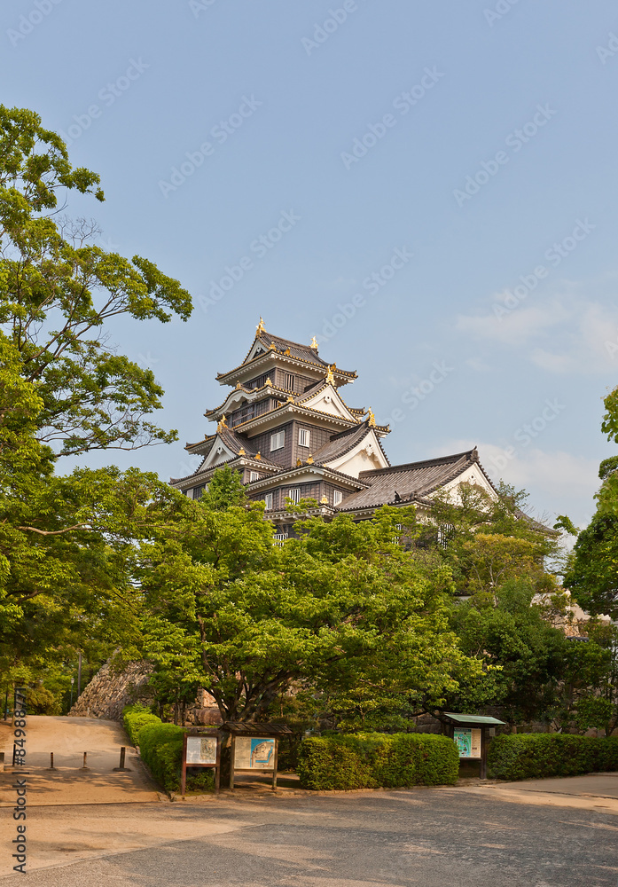 Fototapeta premium Main keep of Okayama Castle, Japan. National Historic Site
