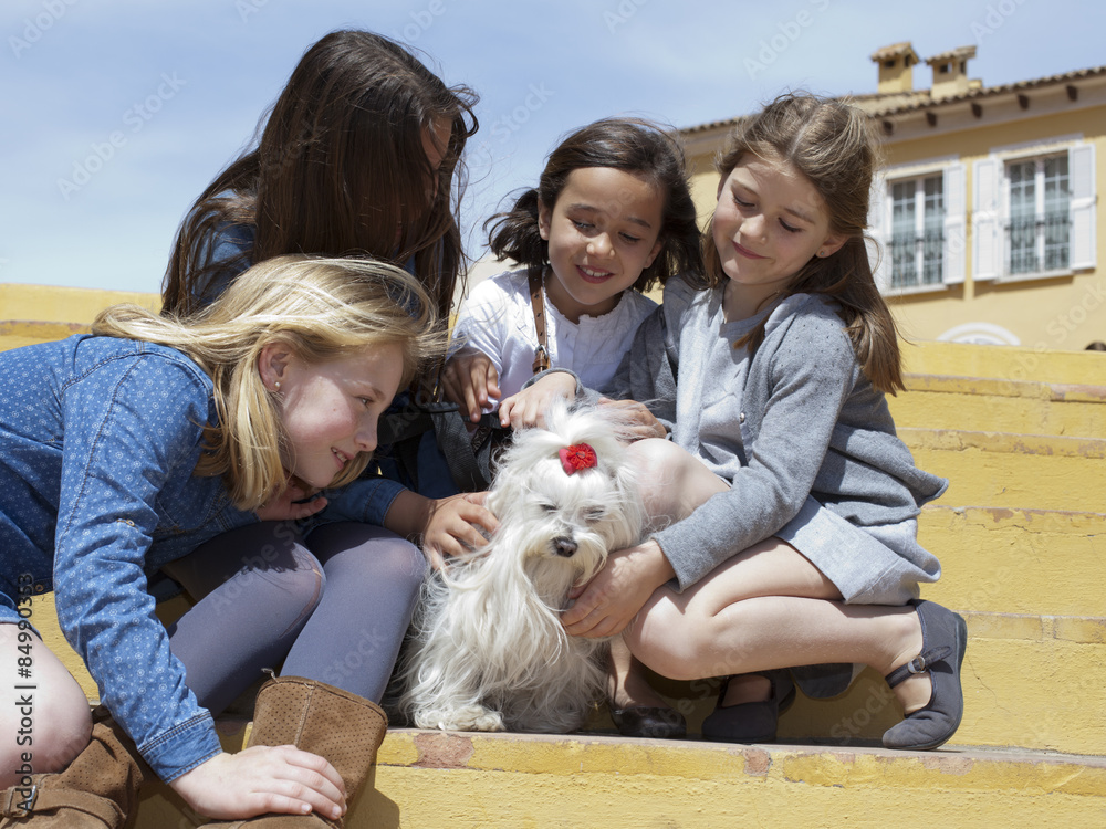 Niñas con bichón maltés Niñas con bichón maltés