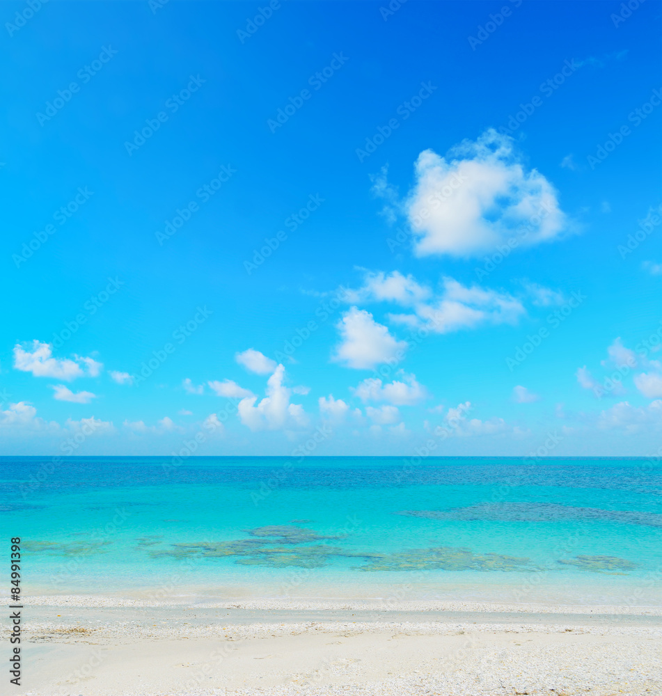 white and blue seashore