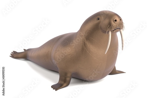 3d render of walrus animal photo