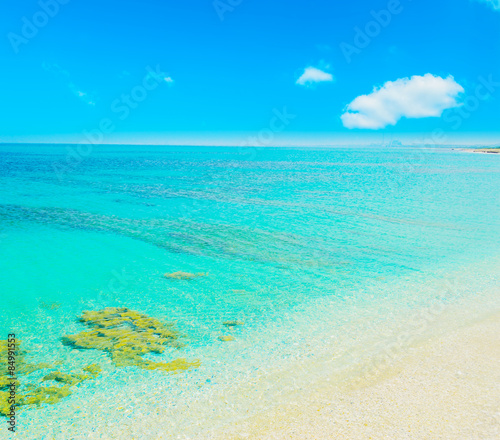 paradise beach and clear sky