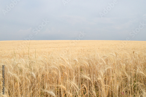 Apulia