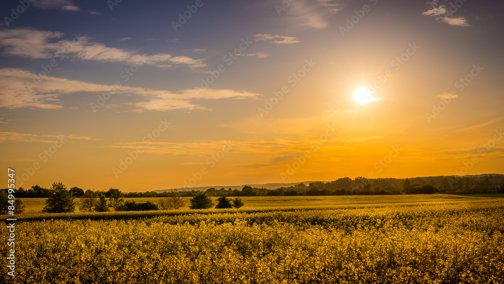 Obraz premium Country landscape