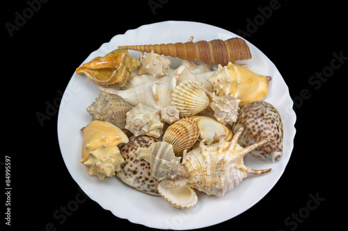 Seashells lying in the white plate. Isolated.