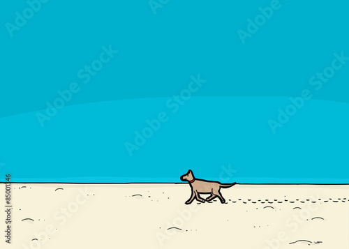 Dog Walking on Beach