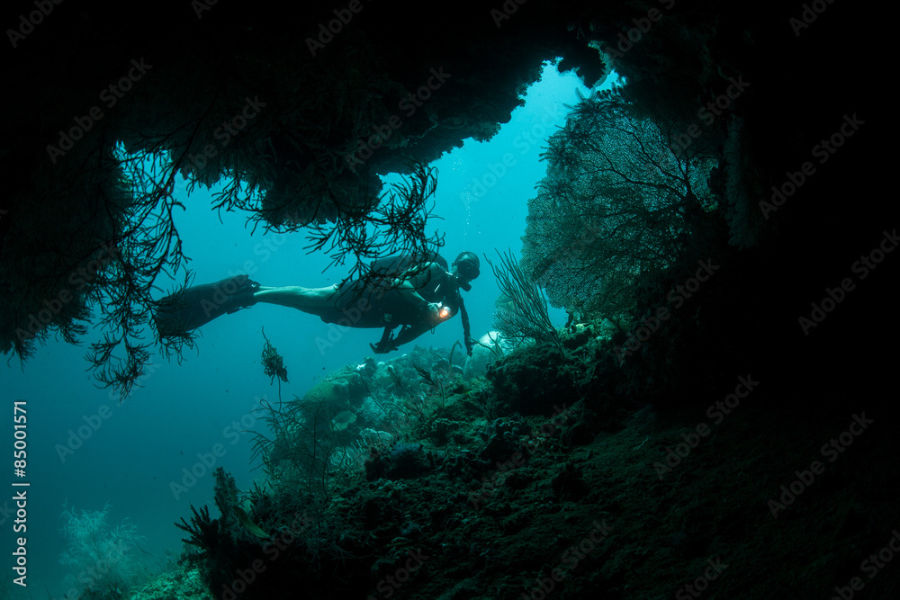 Obraz premium Deep Cave and Scuba Diver