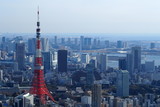 六本木ヒルズ展望台からの東京タワー