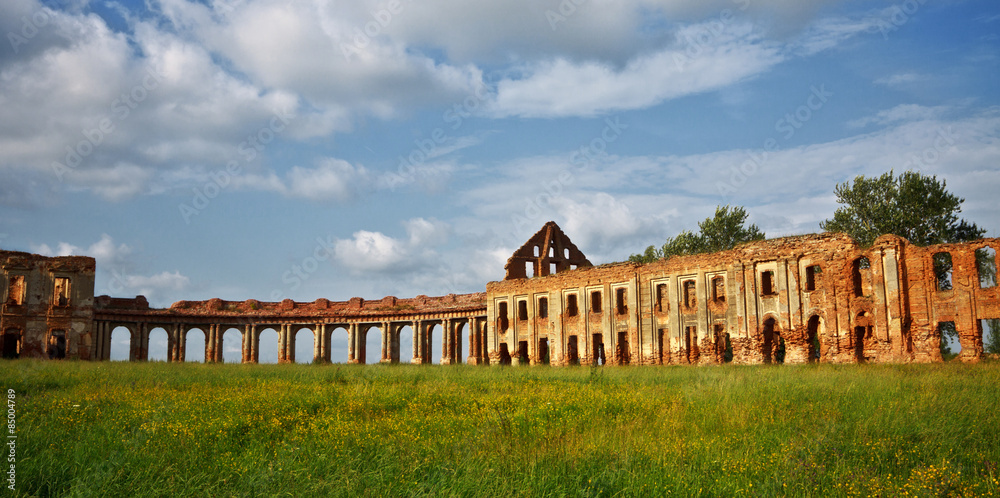 Fototapeta premium ruins of old castle